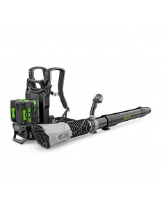 Bladblazer op rug Pro Accu