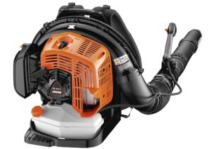 Bladblazer rug gedragen