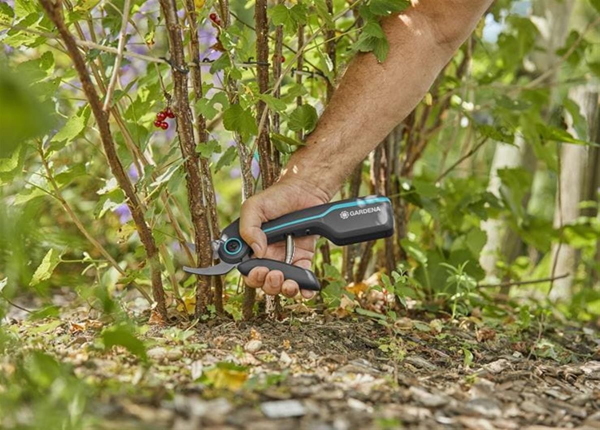 Snoeischaar op accu - Afbeelding 3